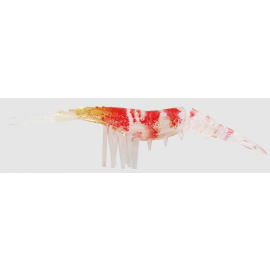 ZEREK LIVE CHERABIN 4''