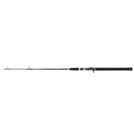 SHIMANO EXAGE BOTTOMSHIP ROD