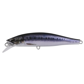 ZEREK CAVALLA ZR 115